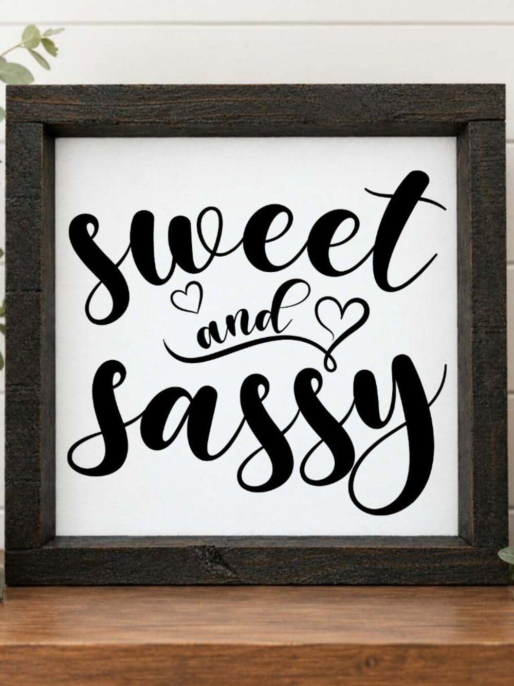 Sweet & Sassy Handcrafted wood & canvas sign